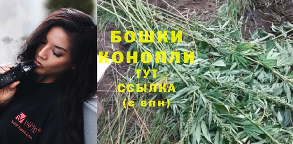 амф Зеленодольск