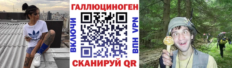 Галлюциногенные грибы мицелий  сколько стоит  Каменногорск 